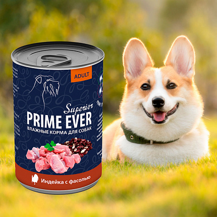 Prime Ever Superior индейка с фасолью влажный корм для собак ж/б