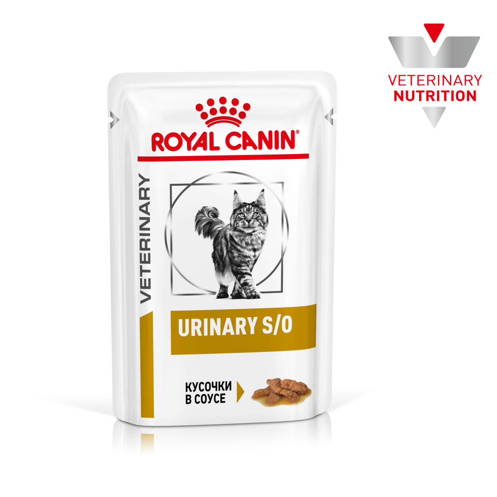 Royal Canin renal для кошек. Роял Канин диабетик для кошек паучи. Royal Canin renal для кошек влажный. Royal Canin Urinary s/o для кошек.