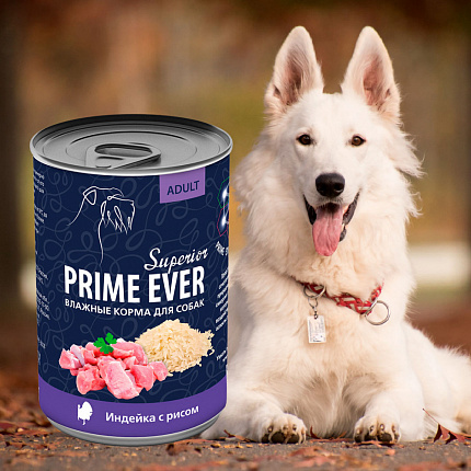 Prime Ever Superior индейка с рисом влажный корм для собак ж/б 