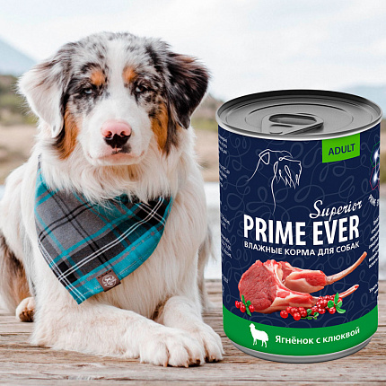 Prime Ever Superior ягнёнок с клюквой влажный корм для собак ж/б 